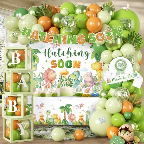 Dinosaur Baby Shower Decorations, All-in-One Decor Set by Unknown