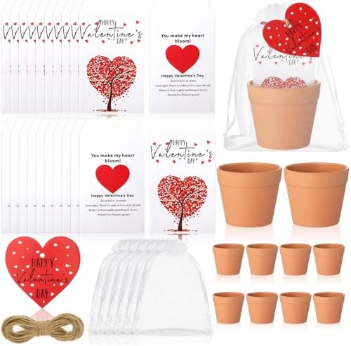 Ctosree 24 Sets Valentine Seed Packet Party Favors with Pots Bags Tags by Ctosree