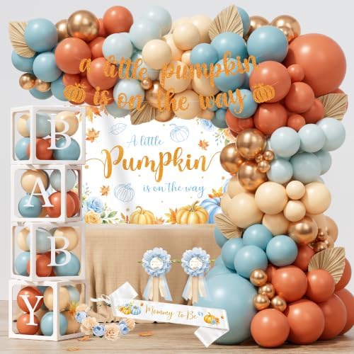 Little Pumpkin Baby Shower Decorations Boy, Fall Baby Shower Supplies Decor by Unknown