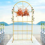 Gold Wedding Arch Stand with Mesh for Ceremony Modern Metal Balloon Arch Stand Kit Garden Floral Arch Frame Background for Anniversary Birthday Party Home Outdoor Lawn Decor by AKaSping