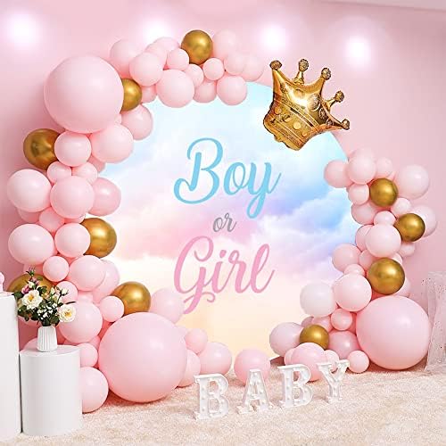 6.5x6.5ft Gender Reveal Round Backdrop Boy or Girl Blue Pink Clouds Photography Background Circle Backdrop Cover Newborn Baby Shower Reveal Gender Party Decoration Photo Booth Props - Image 4
