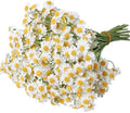 Small White Daisy Flowers Artificial,6 Bouquet/36Pcs 10 Inch Fake Daisies by Smalldu