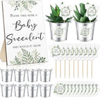 Fulmoon 151 Pcs Baby Shower Favors for Guests Include 1 Greenery Sign 50 Watch Baby Grow Succulent Tags 50 Small Metal Bucket with 50 Succulent Stickers for Guests by Fulmoon