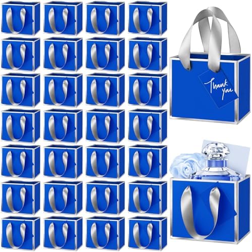 Yeaqee 50 Pcs Mini Metallic Paper Gift Bags with Handle, Royal Blue, Silver by Yeaqee