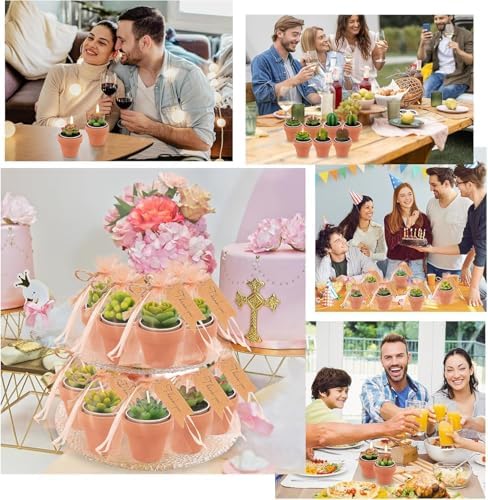 36 Pcs Succulent Cactus Candles Party Favors- Succulent Tealight Candles - Image 5