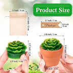 MTLEE 24 Pcs Succulent Cactus Tealight Candles - Image 2