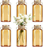 Mason Jar Glass Vases 6 Pack, Amber Flower Vase for Centerpieces by Unknown