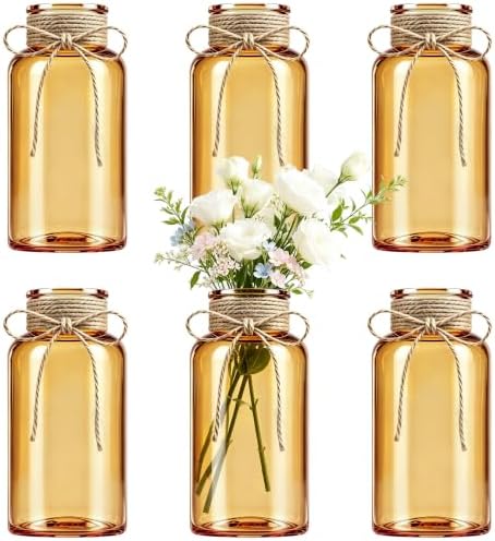 Mason Jar Glass Vases 6 Pack, Amber Flower Vase for Centerpieces by Unknown