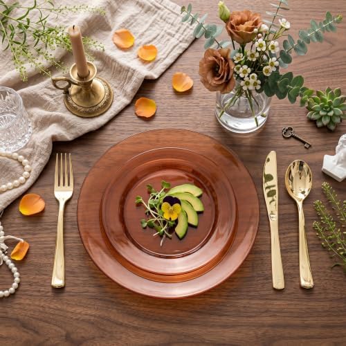 I00000 102 Pcs Amber Plastic Plates, Clear Brown Plastic Plates Disposable - Image 2