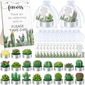 Mtlee 36 Sets Baby Shower Favors for Guest, Succulent Candle Bulk, Cactus by MTLEE
