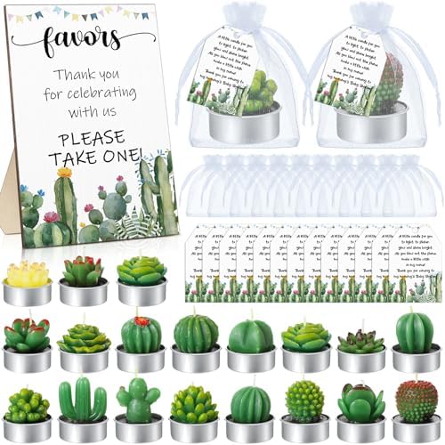 Mtlee 36 Sets Baby Shower Favors for Guest, Succulent Candle Bulk, Cactus by MTLEE
