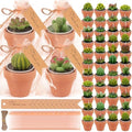 36 Pcs Succulent Cactus Candles Party Favors- Succulent Tealight Candles by AOTTOM