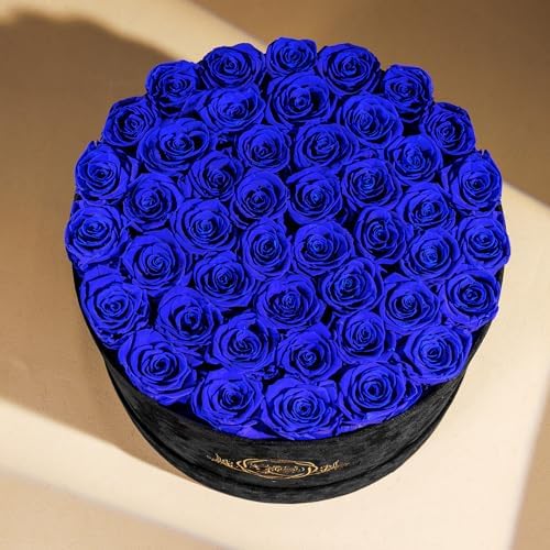 Prifroti 47 Flowers in a Luxury Suede Box, Birthday Gifts for Women, Preserved Flowers, Mothers Day Roses Gift for Mom,Blue - Image 4