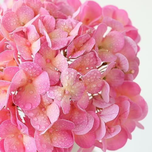 ZYTUYO 4PCS 20'' Bright Pink Real Touch Hydrangeas Latex Artificial Flowers for Baby Shower Birtiyday Wedding Pink Partry Flower Arrangeament Home Living Room Table Centerpiece - Image 2