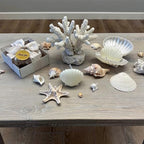 White Seashell Candle Party Favors in a Plastic Box, Wedding Favor Guest Bulk,Bridal Shower Gifts, Baby Shower giveaways for Baptism (10,20,30,50,100.. Options Available in Customize Section) - Image 7