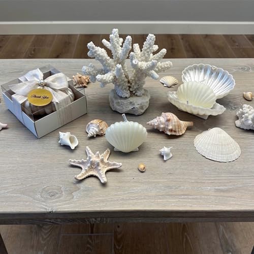 White Seashell Candle Party Favors in a Plastic Box, Wedding Favor Guest Bulk,Bridal Shower Gifts, Baby Shower giveaways for Baptism (10,20,30,50,100.. Options Available in Customize Section) - Image 7