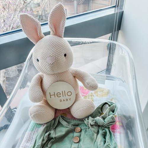 Monthly Baby Milestone Knit Cotton Stuffie with Wooden Discs, Newborn Photography Prop, Announcement Sign by Sawyer & Eloise (Bunny) - Image 7