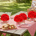 Daifunli 6 Set Picnic Party Centerpieces for Table Mason Jar Table Decor - Image 4