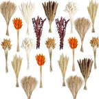 530/450Pcs Dried Pampas Grass Set for Dry Flower Home Decor (450Pcs Fall) by HapartFlower