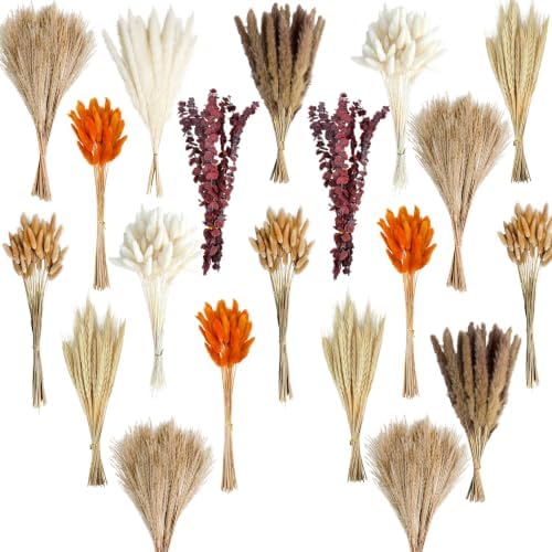 530/450Pcs Dried Pampas Grass Set for Dry Flower Home Decor (450Pcs Fall) by HapartFlower