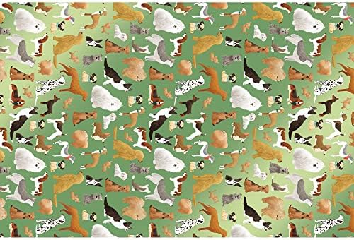 Jillson & Roberts 20" x 30" Printed Gift Tissue for Birthdays, Wine Bags, Weddings, Best in The Show Green, 48 Folded Sheets - Image 3