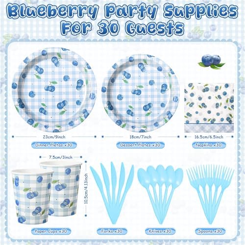 Honeydak 210 Pcs Blueberry Party Supplies for 30 Guests, Includes Plates, Cups, Napkins, Cutlery - Blueberry Checked Birthday Tableware Decorations for 1st Birthday, Summer Fruit Party - Image 3