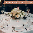 Therwen 20 Pcs Metal Table Numbers 1-20 Table Numbers for Wedding,Rose Gold - Image 4