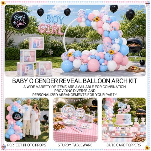 Baby Q Gender Reveal Decorations, Pink Blue Gingham BBQ Gender Reveal Decor - Image 7