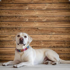 Wood Backdrop 10x8ft Brown Wooden Rustic Background Fabric Polyester Floor Panel Board Banner Baby Shower Birthday Wedding Decorations Western Barn Party Wall Decor Photography Supplies - Image 6