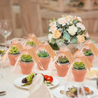 36 Pcs Succulent Cactus Candles Party Favors- Succulent Tealight Candles - Image 4