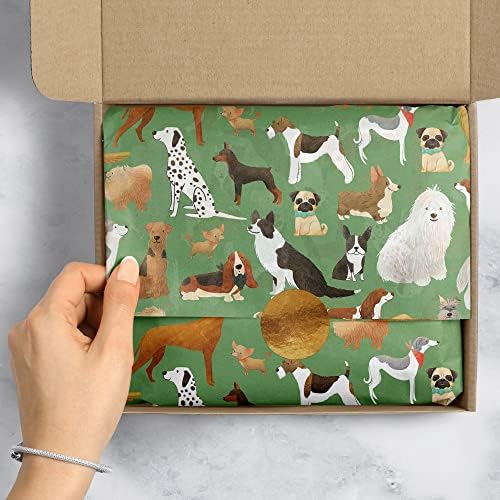 Jillson & Roberts 20" x 30" Printed Gift Tissue for Birthdays, Wine Bags, Weddings, Best in The Show Green, 48 Folded Sheets - Image 4