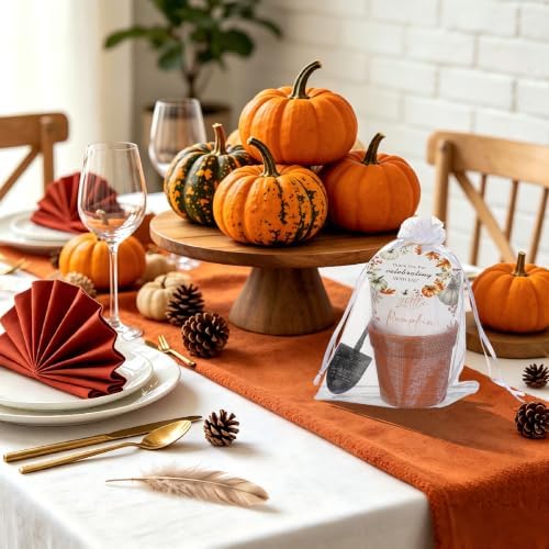 24 Sets Little Pumpkin Baby Shower Favor Kit, Mini terracotta-colored plastic flower pots with Seed Envelopes, Organza Bags, Thank You Tags, Jute Twine, Mini Garden Shovels, Fall Pumpkin Themed Plant - Image 6