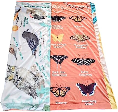 Butterflies and Birds Learning Blanket, Backyard Nature ABC Minky Throw, Preschool Daycare Nap Blanket and Teacher Gift for Toddlers, 50x60 in, Birdy Boutique by BirdyBoutique
