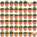 Shihanee 48 Pcs Bulk Succulent Candles Decorative Cactus Tealight Candles Handmade Mini Terracotta Clay Holders House Warming Wedding Baby Shower Spa Mexican Coworkers Teacher Birthday Gifts(Red) by Shihanee