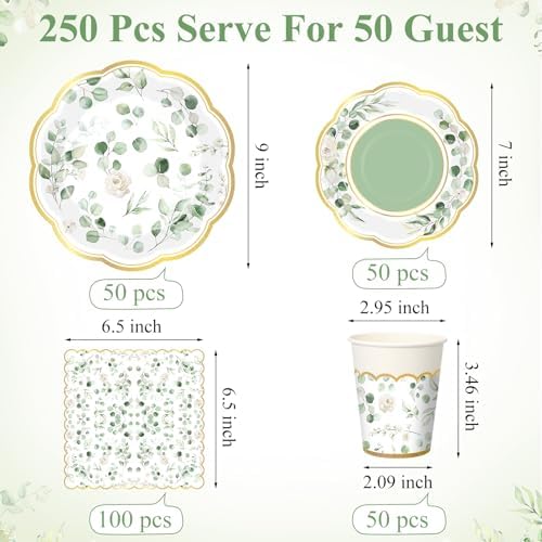 Funnymoom 250 Pcs Sage Green Eucalyptus Party Decorations Wedding Serves 50 - Image 3