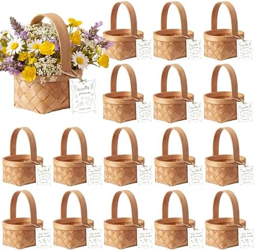 LemonRoad 20 Sets Locally Grown Baby Shower Mini Picnic Basket with Card by Unknown