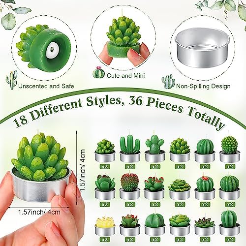Mtlee 36 Sets Baby Shower Favors for Guest, Succulent Candle Bulk, Greenery - Image 3