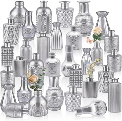 32 PCS Assorted Vintage Bud Vases, Colorful Glass Small Vases Bulk, for Centerpieces, Wedding Table Decor, Home Decorations & Gifts (Silver Srires) by Unknown