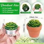Lounsweer 84 Pcs Succulent Tealight Candles Bulk Novelty Decorative Cactus Candles Wedding Baby Shower Wedding Gifts with Mini Clay Holders for Birthday Party Home Mexican Party Favors (Novel) - Image 2