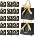 EQOREIIN 24 PCS Small Gift Bags with Handles, 5.5x 2.5x4.7 Inches Mini Bag by EQOREIIN