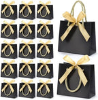 EQOREIIN 24 PCS Small Gift Bags with Handles, 5.5x 2.5x4.7 Inches Mini Bag by EQOREIIN