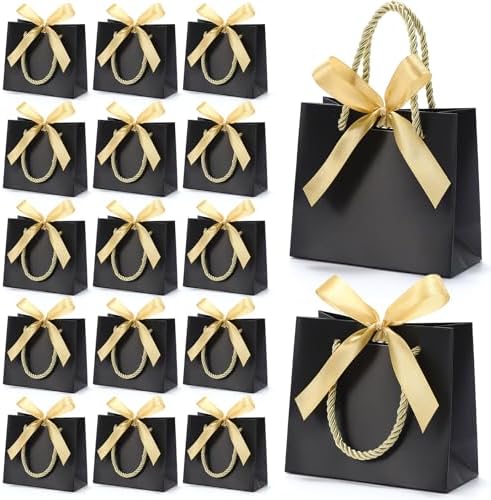 EQOREIIN 24 PCS Small Gift Bags with Handles, 5.5x 2.5x4.7 Inches Mini Bag by EQOREIIN