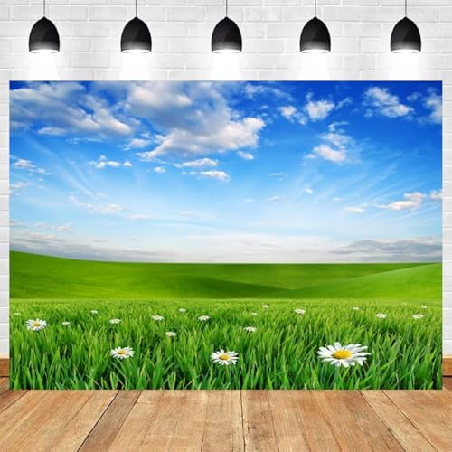 20x10ft Spring Backdrop Grassland Landscape Daisy Flowers Photography Background Green Grass Blue Sky Nature Scenery Kid Birthday Banner Decorations Baby Shower Portrait Photo Booth Prop - Image 2