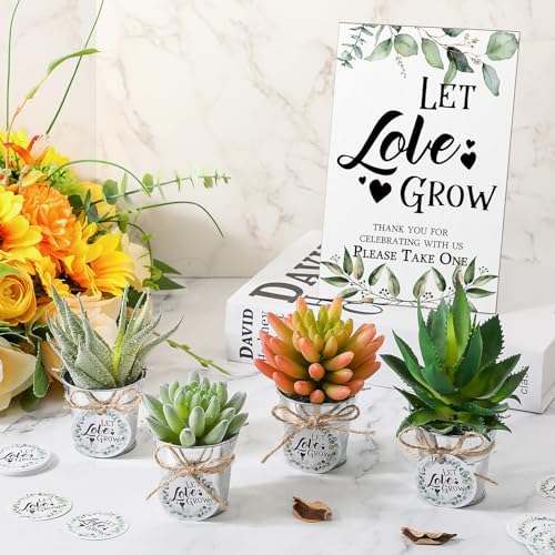 Zhehao 50 Sets Mini Succulent Buckets with 1 Greenery Let Love Grow Sign 50 Let Love Grow Tag and 2 Hemp Ropes for Wedding, Bridal, Baby Shower, Succulent Party Favor for Guests - Image 5