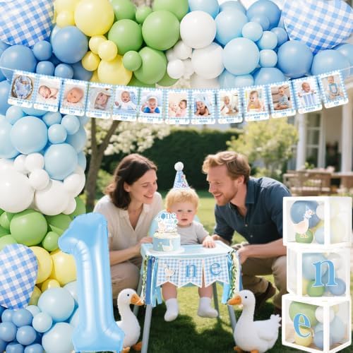 One Silly Goose Birthday Decorations, Blue Silly Goose First Birthday for Boys, Goose 1st Highchair Banner Balloon Garland Box Monthly Photo Cake Topper Hat Poster for Boys Funny Party Supplies - Image 3