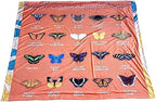 Butterflies and Birds Learning Blanket, Backyard Nature ABC Minky Throw, Preschool Daycare Nap Blanket and Teacher Gift for Toddlers, 50x60 in, Birdy Boutique - Image 2
