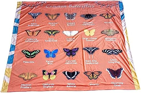 Butterflies and Birds Learning Blanket, Backyard Nature ABC Minky Throw, Preschool Daycare Nap Blanket and Teacher Gift for Toddlers, 50x60 in, Birdy Boutique - Image 2