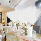 obbsie 50pcs White Faux Pampas Grass Decor, 21.6" Short Artificial Pompous Grass Floral Fake Pompas Grass Branches Vase Filler Flower Arrangement for Home Wedding Boho Decor (Pack of 2) - Image 6