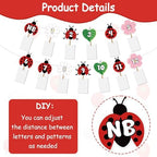 Ladybug First Birthday Decoration Our Little Ladybug Is Turning One Backdrop Photo Banners Pink Little Bug Daisy Honeycomb Centerpieces Cake Topper Balloons for Girls Insect Themed Party Supplies - Image 7