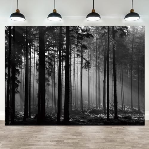 12x10ft Black and White Forest Backdrop Sunlight Beams Misty Trees Vertical Trunks Photography Background Natural Landscape Wedding Decoration Birthday Banner Portrait Photo Booth Prop by ASDCXZ